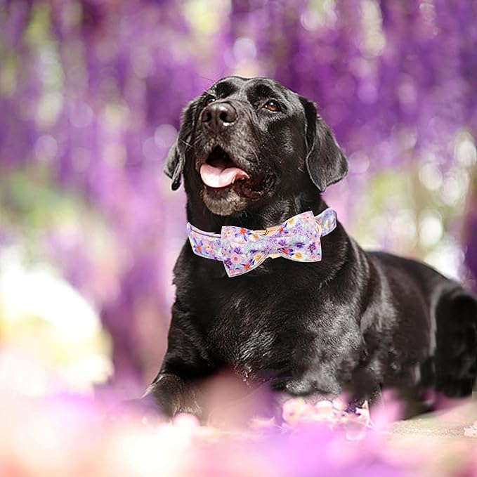 Elegant little tail Dog Collar, Rose Print Pet Collar Summer Dog Collar Durable Metal Buckle Dog Collars Cotton Pet Adjustable Dog Collars for X-Small Dogs