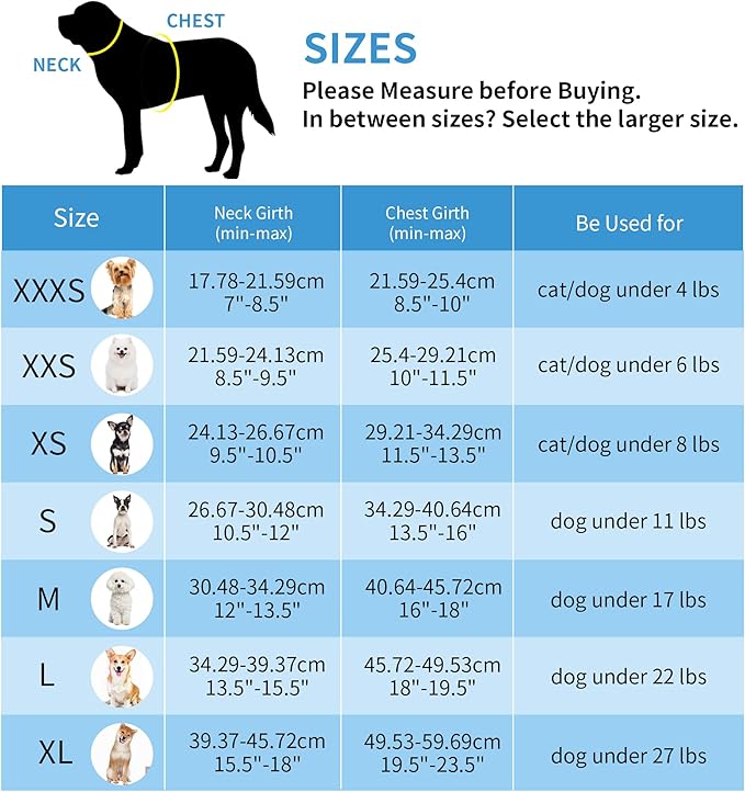 AIITLE Small Harness for Puppy with A Leash - Dog Vest Harness with Super Breathable Mesh, Reflective No-Pull Pet Harness for Outdoor Walking, Running for Small Dogs, Cats Pure Turquoise XXS