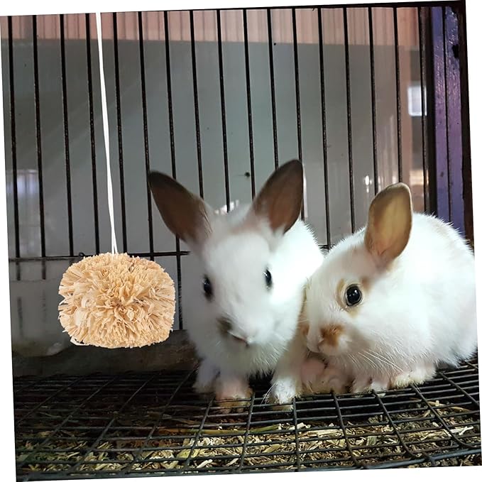 BESPORTBLE 2Pcs Small Bunny Molar Chew for Hamsters Guinea Pigs Rabbits Natural Non Edible Pet Balls to Protect Furniture and Promote Healthy Teeth for Small Animals
