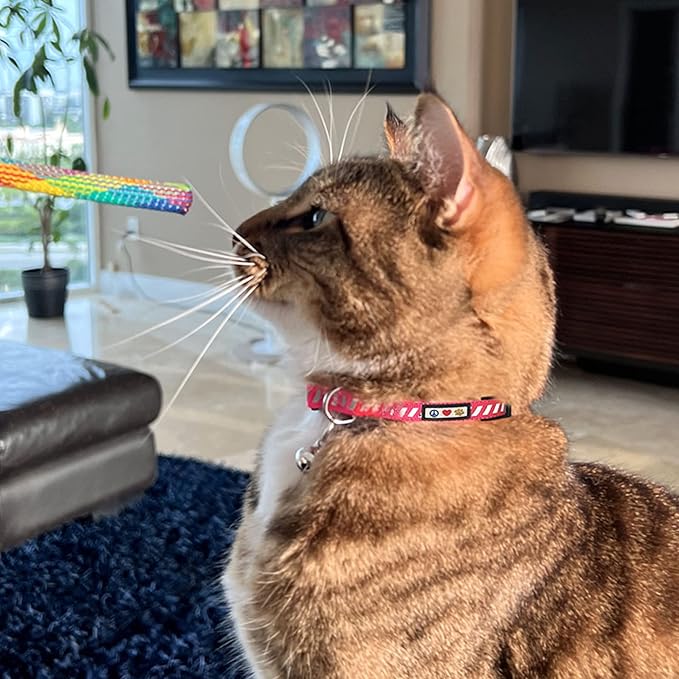 Pawtitas Personalized Blue Reflective Cat Collar – Adjustable Custom Collar with Safety Buckle, Removable Bell, and Engraved Name & Phone Number for Kittens and Adult Cats
