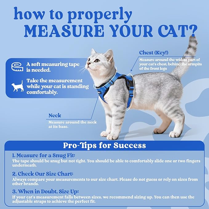 rabbitgoo Cat Harness and Leash for Walking, Escape Proof Soft Adjustable Vest Harnesses for Cats, Easy Control Breathable Reflective Strips Jacket, Navy Blue, XXS