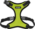 Voyager Step-in Pet Harness - All Weather Mesh, Adjustable Step in Harness for Cats and Dogs by Best Pet Supplies - Lime Green/Black Trim, M
