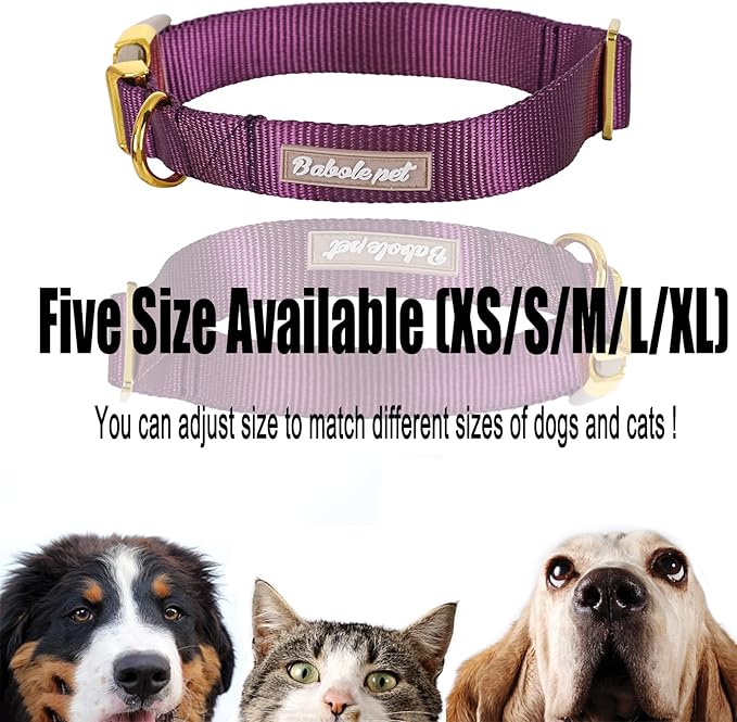 Nylon Dog Collar - Adjustable Deep Purple Soft Webbing Dog Collars for Small Medium Large Dogs Boy Girl Puppy Collar with Safety Metal Buckle M
