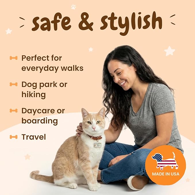 PawFurEver Personalized Dog Driver License ID Tag for Dogs & Cats - Custom Pet License Dog ID Tags Personalized Heavy Duty with Name, Photo & Phone Number, 50 States + DC (Mississippi, Tag)