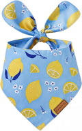 Luxury Double-Layer Dog Birthday Bandana – Handmade, Silk-Soft Polyester for All Dog Sizes | Birthday & Party Outfit | Gift-Ready Pet Accessory (Yellow, Medium)