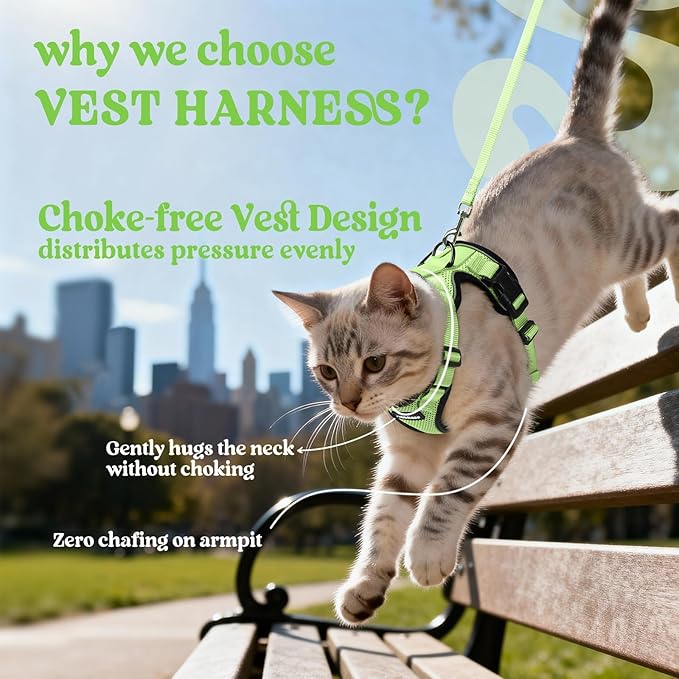 rabbitgoo Cat Harness and Leash for Walking, Escape Proof Soft Adjustable Vest Harnesses for Cats, Easy Control Breathable Reflective Strips Jacket, Light Green, M
