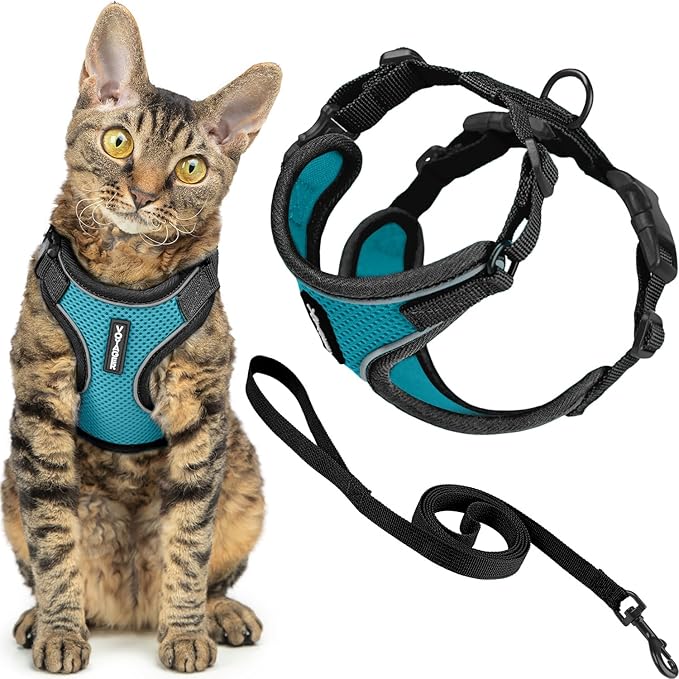 Voyager Escape-Proof Step-in Lock Cat Harness & 5ft Neoprene-Handle Leash Set All-Weather Mesh with Reflective Stitching for Small to Large Cats by Best Pet Supplies, Black Trim-Turquoise (327), XXS