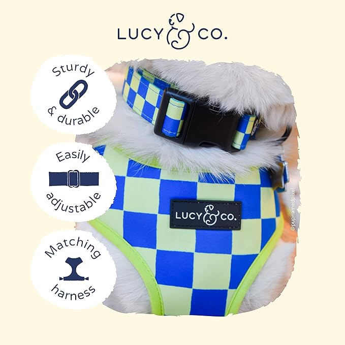 Lucy & Co. Have a Nice Day Dog Collar - Durable Lightweight Designer Collar for Pets - Adjustable Metal Safety Buckle - Lime Green Blue Checker - Small