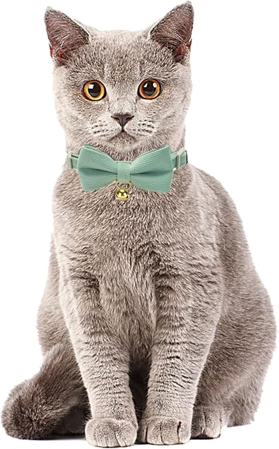 Cotton Breakaway Kitten Collar with Bow Tie and Bell Adjustable Cute Soft Corduroy Cat Collars for Small Cats(Grass Green,XS)