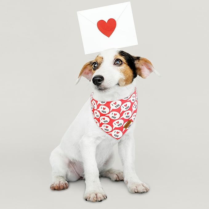Valentines Dog Bandanas with Snap Button - 2 Pack Reversible Heart Dog Scarf for Boy & Girl, Premium Durable Fabric, Pet Bandana for Small Dogs (Small)