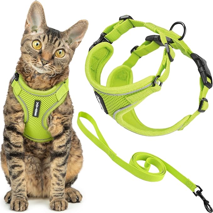 Voyager Escape-Proof Step-in Lock Cat Harness & 5ft Neoprene-Handle Leash Set All-Weather Mesh with Reflective Stitching for Small to Large Cats by Best Pet Supplies, Lime (327), XXXS