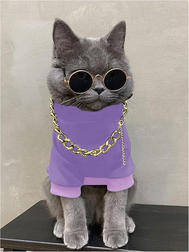 QWINEE 3Pcs Dog Hoodie Cat Apparel Dog Custume Set with Necklace and Sunglasses Pet Clothes for Puppy Small Medium Dogs Cats Mauve Purple X-Small