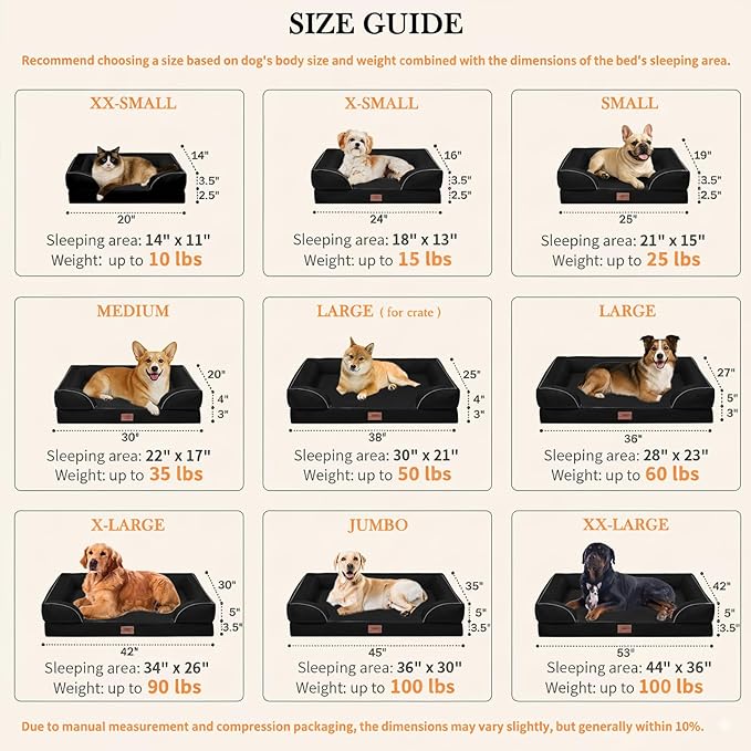 Comfort Expression Orthopedic Dog Bed for Small Dogs 20x14 Inch, Waterproof Supportive Egg Crate Foam Small Pet Bed with Removable Bolsters, Dog Couch with Washable Cover & Non-Slip Bottom, Black