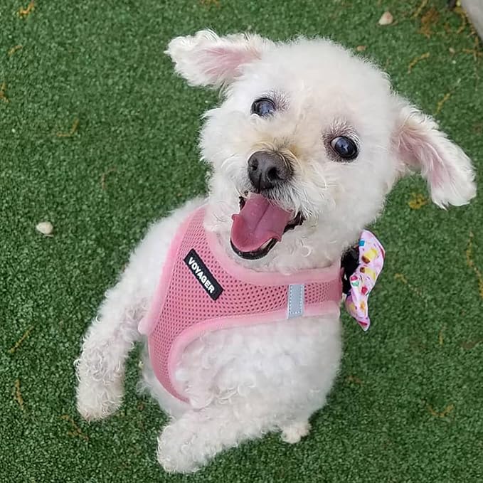 Best Pet Supplies Voyager Step-in Air All Weather Mesh Harness and Reflective Dog 5 ft Leash Combo with Neoprene Handle, for Small, Medium and Large Breed Puppies - Set (Pink), S