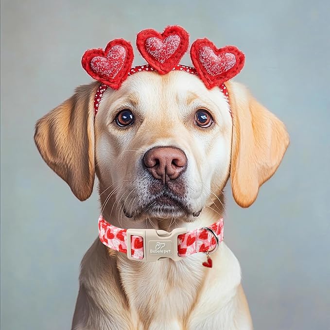 Valentines Dog Collar for Small Dogs - Cute Pink Girl Dog Collar, Doodle Heart Pattern, Adjustable Valentine Dog Collars with Red Heart Charm S