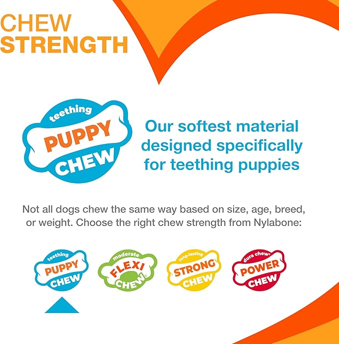 Nylabone Puppy Chew Key Ring Toy, Toys for Teething Puppies, Multi Color, Bacon Flavor, Medium - Up to 35 lbs, 1 Count
