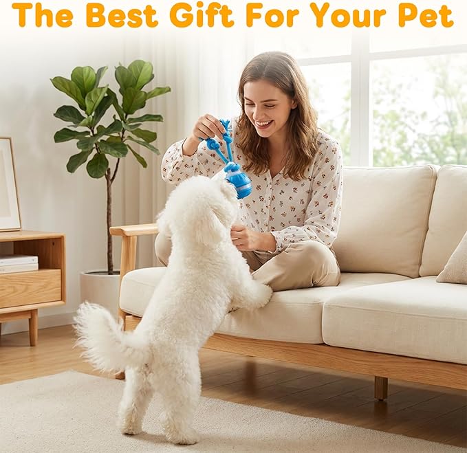 Interactive Dog Toys,Upgraded Motion Activated Rolling Dog Ball Toy for Small/Medium Dogs,Smart Automatic Rolling Toy with USB Rechargeable,Interactive Dog Balls(2PCS)