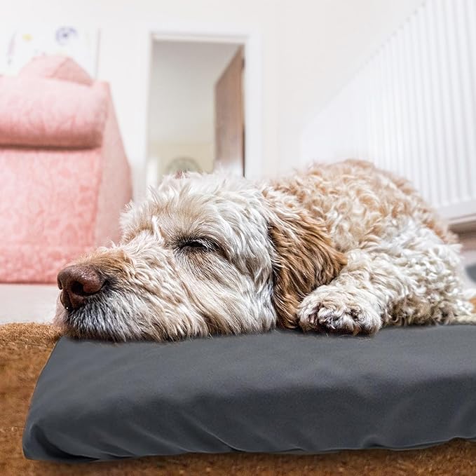 Dog Bed Cover Waterproof Replacement Machine Washable Covers for 41x27 Inch Dog Bed Heavy Duty Scratch Resistant Mattress Protector Pet Bed Cover Only Grey