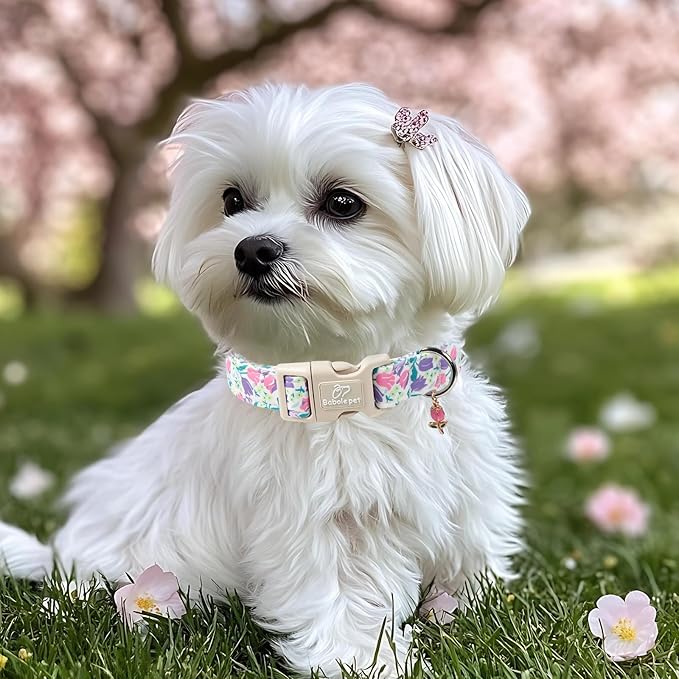Floral Dog Collar for Small Dogs - Pink Purple Tulips Print Dog Collars, Spring Summer Cute Flower Puppy Collar, Lightweight Adjustable April Holiday Boy Girl Dogs Collars S
