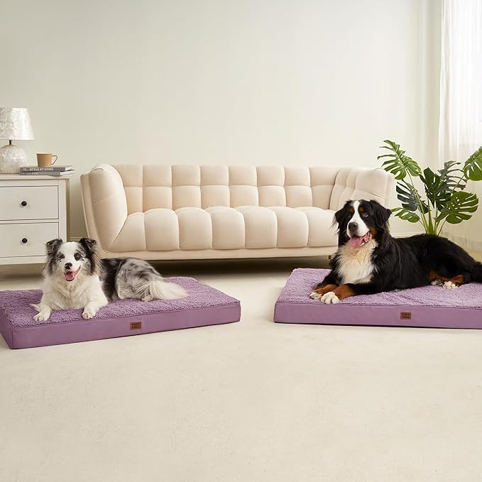 EHEYCIGA Orthopedic XXL Dog Beds for Jumbo Dogs with Removable Washable Cover, Fog Purple, 50x36