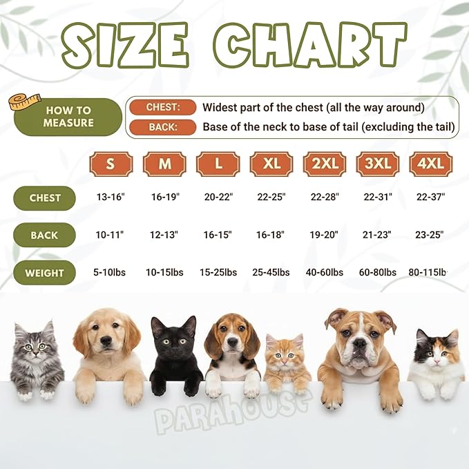 Personalized Dog Hoodie, Custom Embroidered Name Pet Hoodie, Warm Winter Outfit for Dogs, Pet Clothes, Gift for Dog Lovers 5
