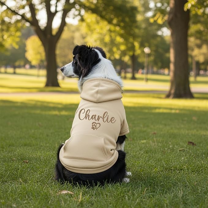 Personalized Dog Hoodie, Custom Embroidered Name Pet Hoodie, Warm Winter Outfit for Dogs, Pet Clothes, Gift for Dog Lovers 1