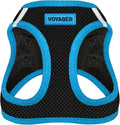 Best Pet Supplies - All Weather Mesh/Plush, Reflective, No Pull Harness for Small, Medium Dogs, Cats - Secure with Hook & Loop Fastener, Buckle, Double D-Rings - Black/Blue Trim, XL