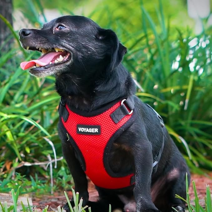 Voyager Step-in Pet Harness - All Weather Mesh, Adjustable Step in Harness for Cats and Dogs by Best Pet Supplies - Red/Black Trim, XL