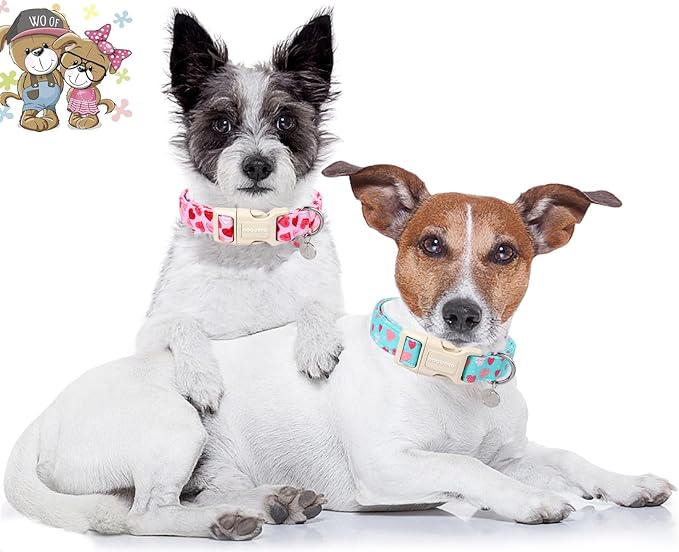 DOGWONG Valentine's Dog Collar - Blue Heart Adjustable Cotton Heart Dog Collar - Perfect for Extra Small, Small, Medium, Large Dogs