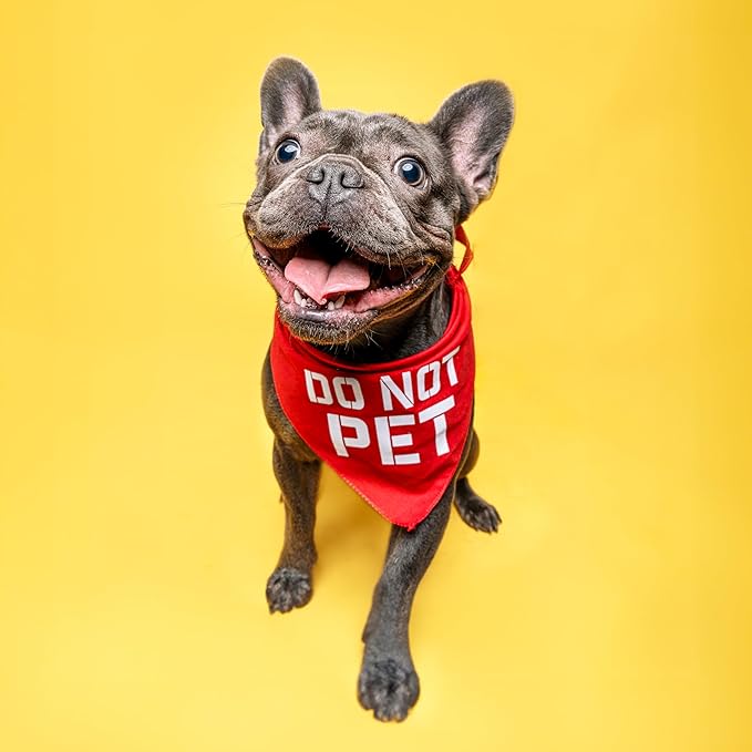 Do Not Pet Dog Bandana (Navy, XS 157)