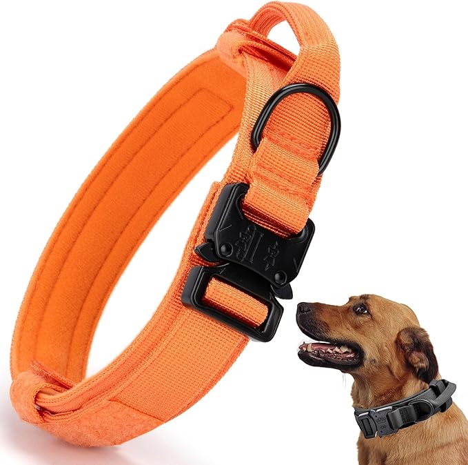 Tactical Dog Collar, Adjustable Military Training Nylon Dog Collar with Control Handle and Heavy Quick-Release Metal Buckle for Small Medium Large Dogs, Orange L