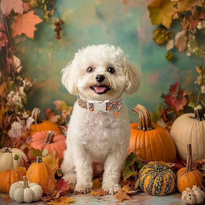Fall Dog Collar Cute Autumn Pumpkin Puppy Collar - Light Comfortable Adjustable Pet Collars for Small Medium Large Girl Boy Dogs L