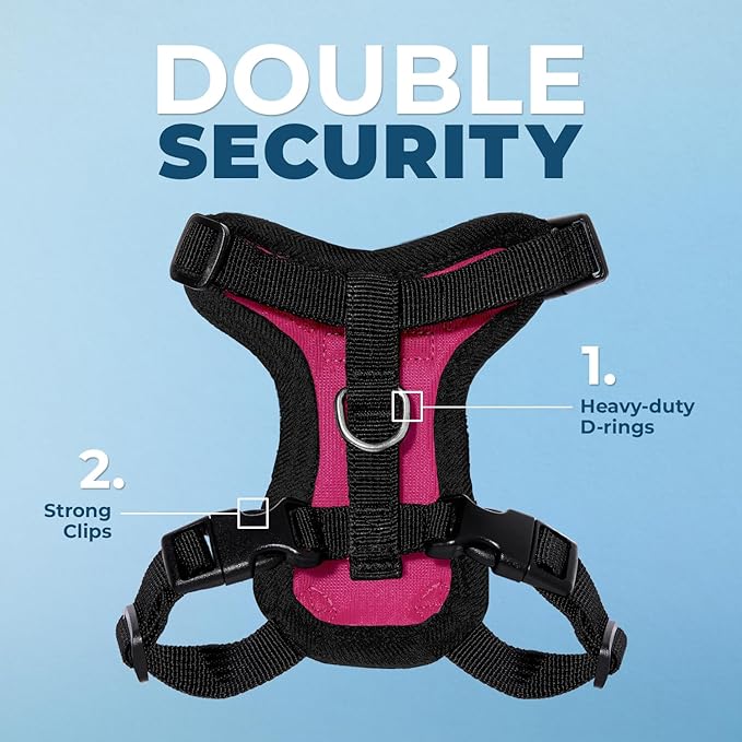 Voyager Escape-Proof Step-in Lock Cat Harness & 5ft Neoprene-Handle Leash Set All-Weather Mesh with Reflective Stitching for Small to Large Cats by Best Pet Supplies, Fuchsia/Black Trim, S