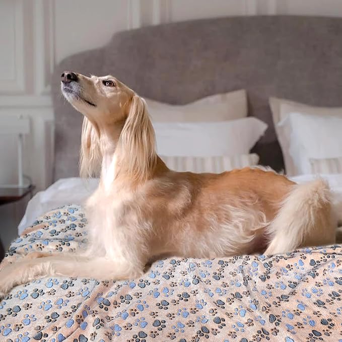 Dog Blankets for Medium Large Dogs, 3 Pack Pet Blanket Washable 41" x 31", Fuzzy Soft Puppy Throw Cover for Kennel Crate Bed