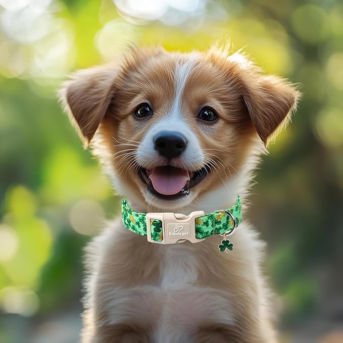 St. Patrick's Day Dog Collar for Large Dogs - Green Shamrock & Yellow Flower Print Dog Collars, Cute Irish Party Puppy Collar, Lightweight Adjustable St. Patricks Day Pet Collars L