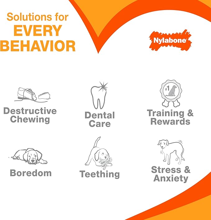 Nylabone Textured Bone Power Chew Toy for Dogs, Durable & Tough Dog Toys for Aggressive Chewers, Basted Blast Bacon & Steak Flavor, Medium Dogs - Up to 35 lbs, 1 Count