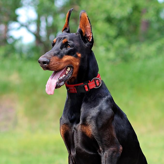 EXCELLENT ELITE SPANKER Reflective Dog Collar Classic Soft Padded Breathable Nylon Adjustable Pet Collar with Quick Release Buckle for Boy Girl Male Female Small Medium Large Dogs Training(Black-L)