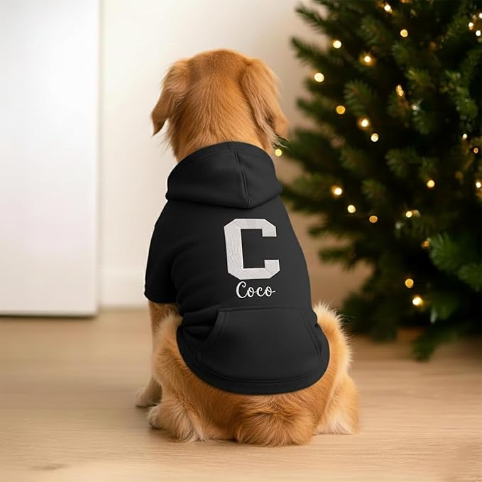 Personalized Dog Hoodie, Custom Embroidered Name Pet Hoodie, Warm Winter Outfit for Dogs, Pet Clothes, Gift for Dog Lovers 4