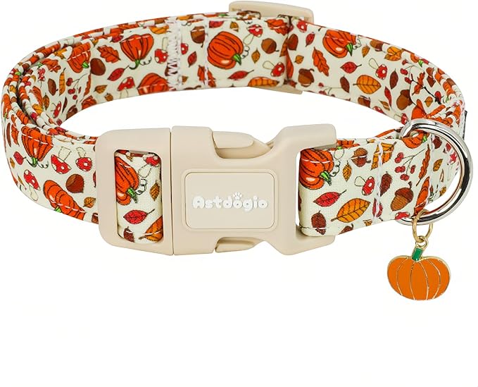 Fall Dog Collar – Halloween & Thanksgiving Dog Collars for Extra Small Dogs – Soft & Comfortable Autumn Puppy Collar with Quick Release Buckle, Extra Small Dog Collars for Girl Boy Dogs-XS