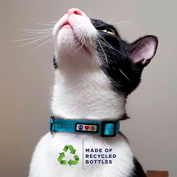 Pawtitas Recycled Green Reflective Cat Collar – Eco-Friendly Breakaway Safety Buckle, Adjustable Kitten & Adult Collar with Removable Bell and High-Visibility Strap