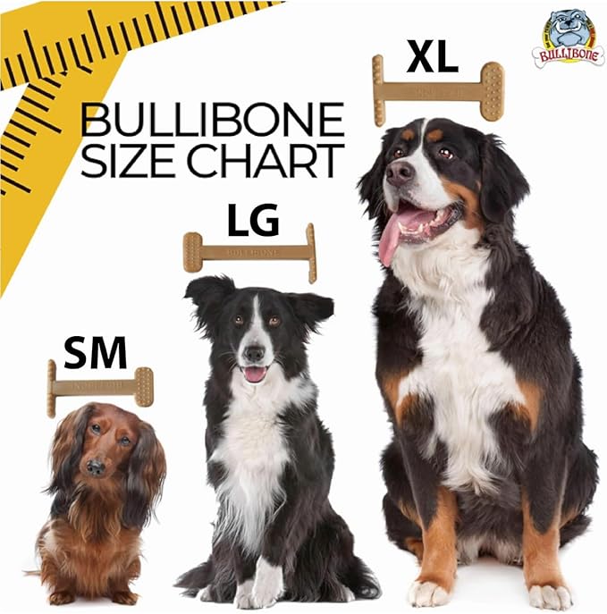 Bullibone Nylon Dog Chew Toy for Aggressive Chewers - Dental Hygiene Bone with Beef Flavor, Durable Tough Chew Toys for Small Dogs, Indestructible Dog Bone - Single