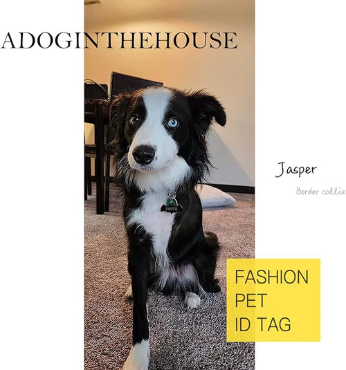 316 Surgical Grade Stainless Steel Personalized Dog & Cat ID Tags - Engraved Name or Text for Pet Collar Accessories, Original Funny Shapes (Heart)