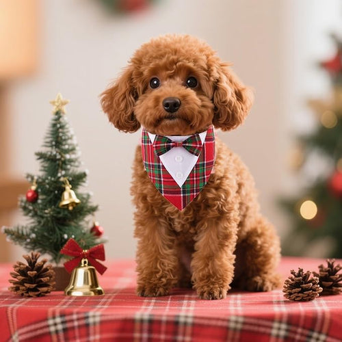ADOGGYGO Christmas Dog Tuxedo Bandana, Red Green Plaid Pet Xmas Collar with Bow, Adjustable Christmas Costume for Small Dogs (S)