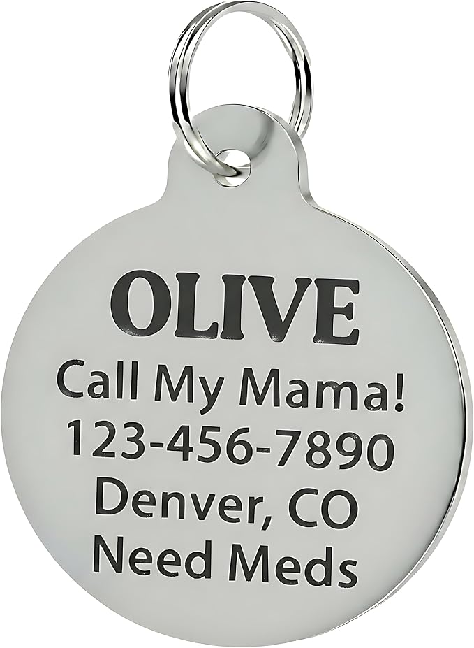 Bad Tags Personalized Dog and Cat ID Tags in 25+ Designs and 2 Sizes - 5 Lines of Custom Engraved Text - Funny Cute Personalized Pet Tags (Cheese Tax Collector, Small (1 inch))