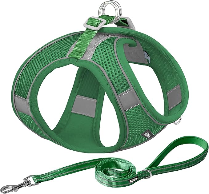 AIITLE Step in Dog Harness and Leash Set - No Pull Escape Proof Vest Harnesses with Soft Mesh and Reflective Bands, Adjustable Pet Outdoor Harnesses for Small and Medium Dogs Green M