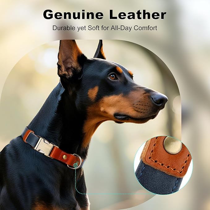 Plutus Pet Genuine Leather & Hemp Dog Collar – Adjustable Heavy Duty Pet Collar with Quick Release Metal Buckle, Soft & Stylish for Puppy and Small, Medium, Large Dogs (Blue, S)