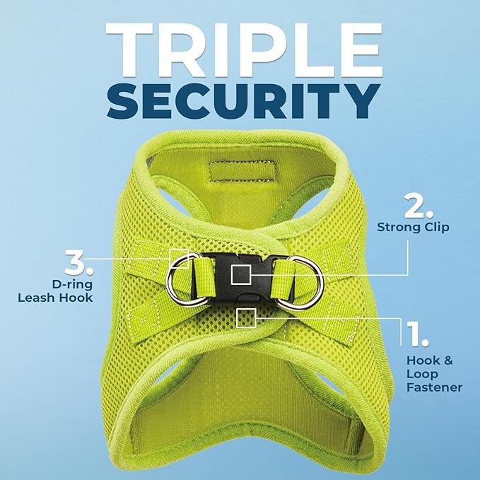 Best Pet Supplies Voyager Step-in Air All Weather Mesh Harness and Reflective Dog 5 ft Leash Combo with Neoprene Handle, for Small, Medium and Large Breed Puppies - Set (Lime Green), S
