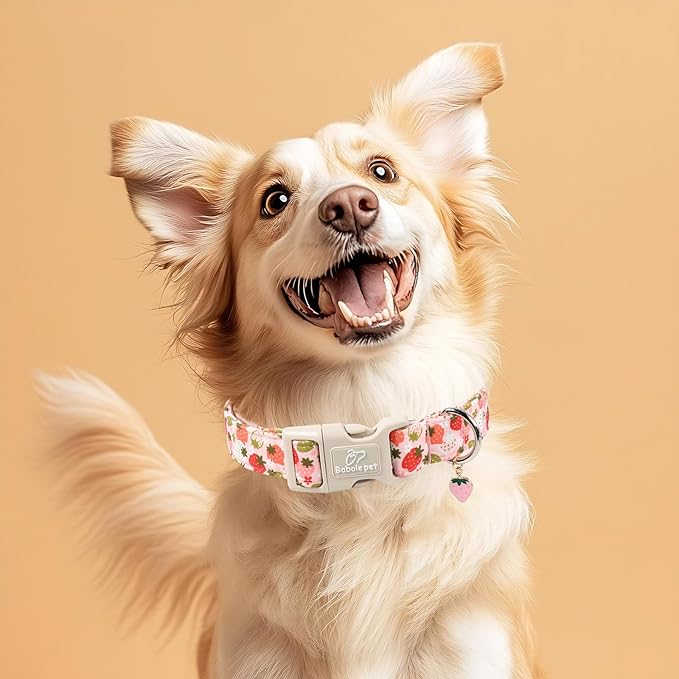 Strawberry Dog Collar for Medium Dogs - Cute Spring Pink Dog Collars, Summer Pastel Puppy Collars, Soft Adjustable Boy Girl Dogs Collar with Quick-Release Buckle M