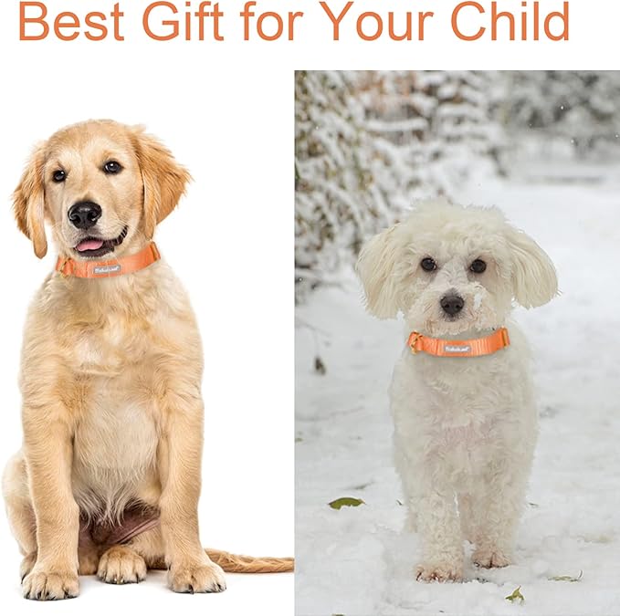 Nylon Dog Collar - Adjustable Orange Soft Webbing Dog Collars for Small Medium Large Dogs Boy Girl Puppy Collar with Safety Metal Buckle L