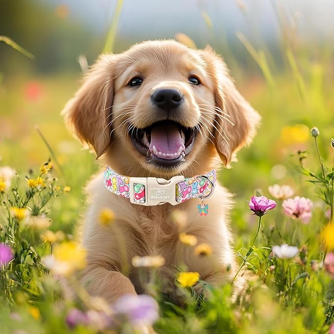 Easter Dog Collar for Medium Dogs - Colorful Bunny Print Easter Collar for Male Female Dogs, Lightweight Adjustable Spring Holiaday Dog Collars with Quick Release Buckle M